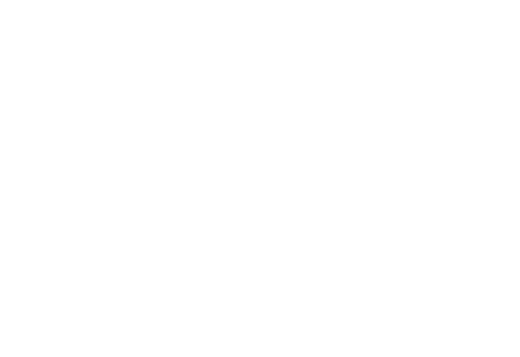 line drawing of stjoe's logo