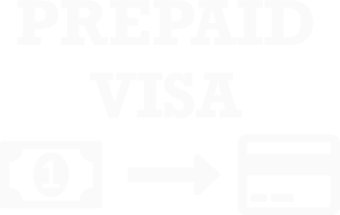 visa icon